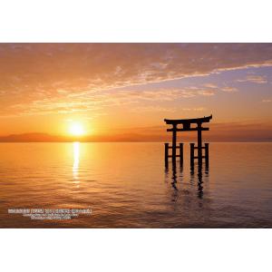 ジグソーパズル 300ピース 滋賀県高島市「琵琶湖 朝日と白髭神社 湖中大鳥居」  ［CP-JS］ ...
