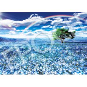 ジグソーパズル 500ピース ネモフィラと幸運の虹  ［CP-JS］  EPO-05-201s