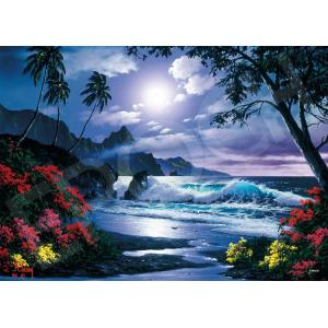 ジグソーパズル ムーンライト オーバー ザ ショア 500ピース  アンソニー キャセイ EPO-07-729s