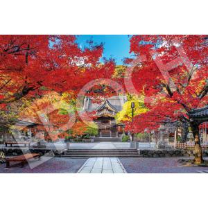 ジグソーパズル EPO-09-024s 風景 修禅寺の美しい秋 -静岡 1000ピース エポック社