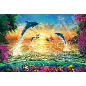 ジグソー世界の風景「星空のチンクエテッレ」フレームセット（1000P