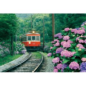ジグソーパズル 300ピース あじさい薫る箱根登山電車 ［CP-JS］ EPO-26-217