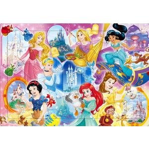 ジグソーパズル 60ピース プリンセスのおしろ（ディズニープリンセス） ディズニー TEN-DC60-167