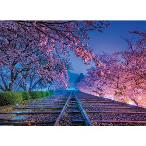 ジグソーパズル YAM-05-1015 KAGAYA 夢の軌道（京都） 500ピース やのまん ［CP-C］