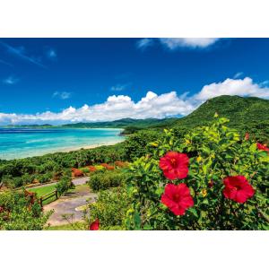 ジグソーパズル 500ピース 海とハイビスカス 夏の石垣島(沖縄)  ［CP-NT］［CP-JS］ ...