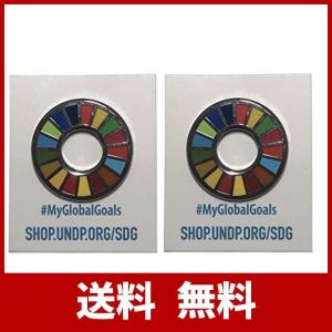 国連本部 SDGs ピンバッジ 日本未発売 UN 2個セット