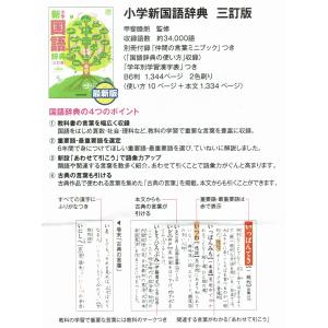 小学新国語辞典 三訂版(学校渡し)の詳細画像1