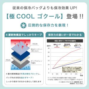 極みクール ゴクール 保冷バッグ 15L 買い...の詳細画像1