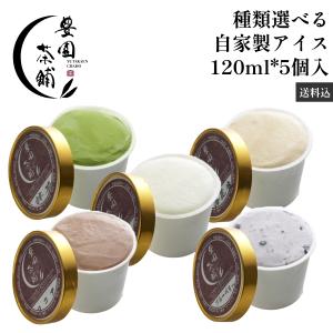 アイスクリーム 種類が選べる お試し5個セット ご自宅向け簡易梱包 たっぷり120ml 美味しい 自家製 アイス 送料・クール代込 CAS冷凍