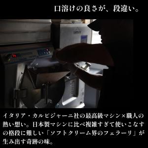 茶屋アイス 種類が選べるお試し たっぷり120...の詳細画像2