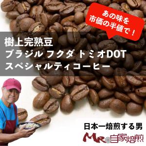 スペシャルティコーヒー コーヒー豆 珈琲 ブラジル フクダトミオDOT 200g 自家焙煎 ドリップ 豊園茶舗 Mr.自家焙煎