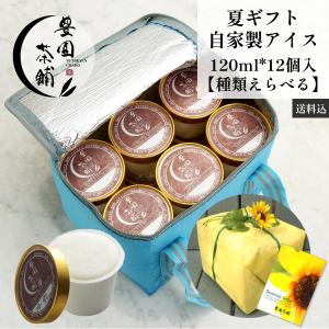 【夏ギフト 種類選べる12個】アイスクリーム 1...の商品画像