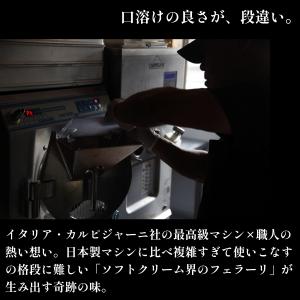 【夏ギフト 種類選べる12個】アイスクリーム ...の詳細画像2