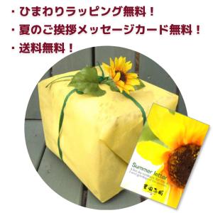 【夏ギフト 種類選べる12個】アイスクリーム ...の詳細画像3