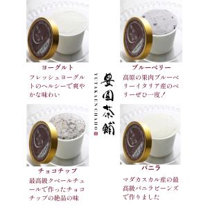 【夏ギフト 種類選べる12個】アイスクリーム ...の詳細画像5