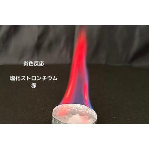 実験くん 301 炎色反応 酸化銅入りキット ...の詳細画像3