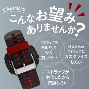 GARMIN ガーミン Foreathlete...の詳細画像2