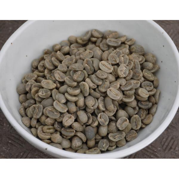 SDGs 有機栽培コーヒー生豆1kg メキシコ・シエラ・マードレ（オーガニック/フェアトレード）
