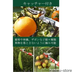 たかえだきりばさみ 高枝切りバサミ 高枝のこぎ...の詳細画像5
