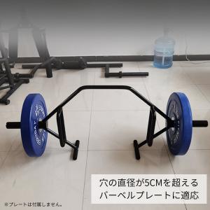 ヘックスバー オープンバック デッドリフト ス...の詳細画像1