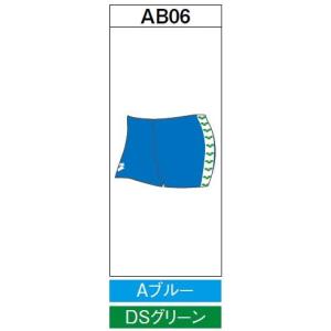 アリーナ　カスタムオーダー受注生産 スクールスイムウエア（メンズ） OAR-S003-AB06　ベースカラー：Aブルー｜jimmy-sp