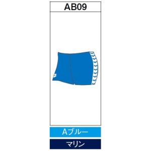 アリーナ　カスタムオーダー受注生産 スクールスイムウエア（メンズ） OAR-S003-AB09　ベースカラー：Aブルー｜jimmy-sp