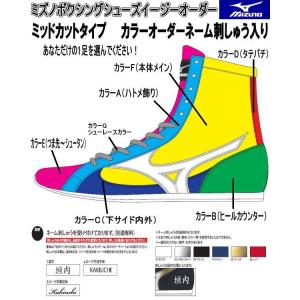 ミズノ　イージーオーダー受注生産 ボクシングシューズ21GX183100（ミッドカットタイプ）ネーム刺しゅう入り