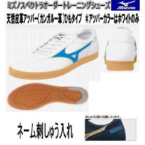 MIZUNO ミズノスペクトラオーダー受注生産トレーニング（コーチ