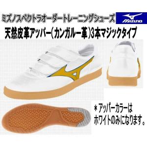 MIZUNO ミズノスペクトラオーダー受注生産トレーニング（コーチ