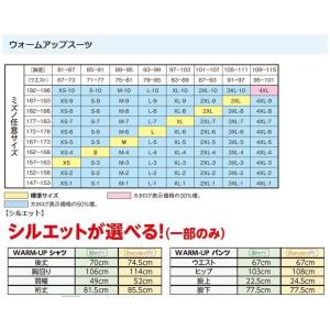 ミズノスペクトラ受注生産 ウォームアップシャツ...の詳細画像5