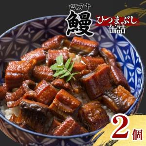 浜名湖食品 うなぎ蒲焼缶詰 100g(固形量90g)×5個セット 国産 ギフト