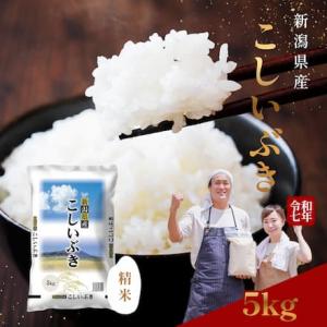 米 5kg こしいぶき 新潟産 令和7年産  新潟県産 100% 一等米 こしひかりの系統 白米 5...