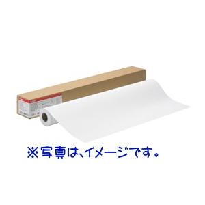 Canon キヤノン 大判プリンタ ロール紙 厚口コート紙HG LFM-CPH/A1/145 【Canon直送品】 8961B006