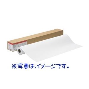 Canon キヤノン 大判プリンタ ロール紙 フォト光沢紙HG(薄口) LFM-GPH/24/170 【Canon直送品】 4379B004｜ジムキヤドットコム