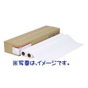 Canon キヤノン 大判プリンタ ロール紙 プレミアム普通紙 LFM-PPP/A1/80 【Can...
