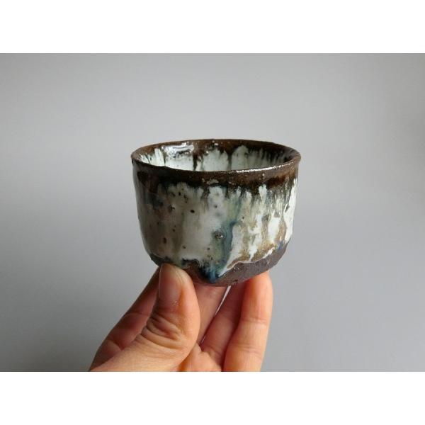 【唐津焼中川自然坊窯】中川恭平作 朝鮮唐津ぐい呑（箱付）