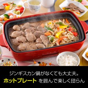 松尾ジンギスカン【公式】 味付ラム 350g ...の詳細画像5