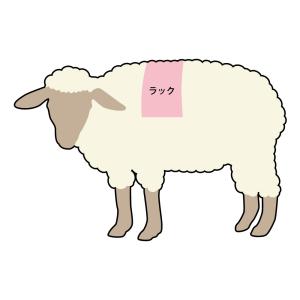 松尾ジンギスカン【公式】 ジンギスカン ラム肉...の詳細画像1