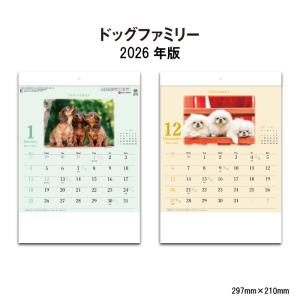 ワン!!めくり 2026年カレンダー 1000136881 卓上 日めくり リング