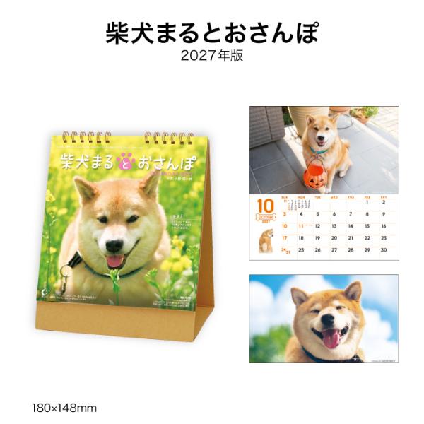 カレンダー 2027 卓上 柴犬まるとおさんぽ NK529 デスク カレンダー 卓上 2027年 お...