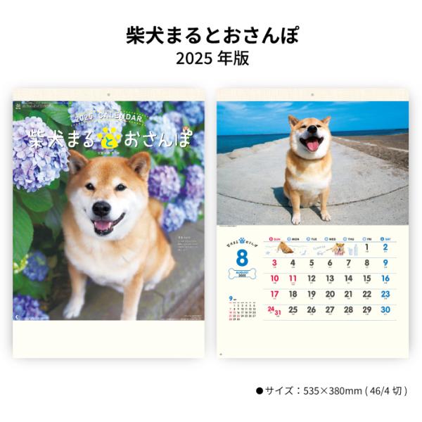 【50％OFF】［訳アリ品］カレンダー 2024年 壁掛け 柴犬まるとおさんぽカレンダー NK35 ...