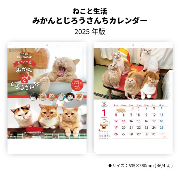 【50％OFF】カレンダー 2024年 壁掛け ねこと生活 みかんとじろうさんちカレンダー NK33...