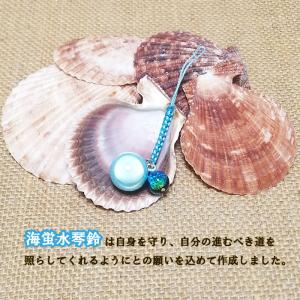 【ポイント5倍】送料無料 海蛍水琴鈴(うみほた...の詳細画像2
