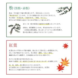 染付小紋盆栽 栽培セット 盆栽 かわいい 黒松...の詳細画像4