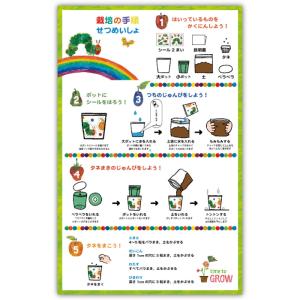 はらぺこあおむし 栽培セット 栽培キット おし...の詳細画像3