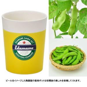 育てるえだ豆栽培キット 栽培セット えだ豆 枝...の詳細画像2