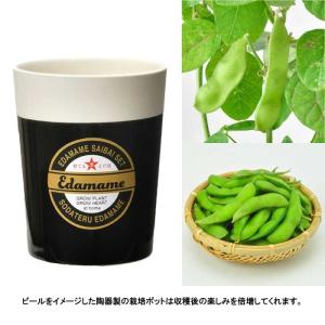 育てる黒えだ豆栽培キット 栽培セット えだ豆 ...の詳細画像2