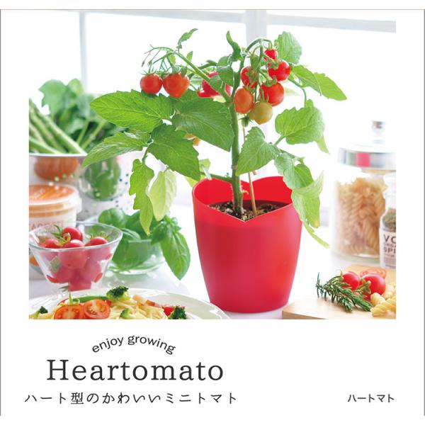トマト ミニトマト Heartomato ハートマト 栽培セット かわいい トマト 栽培 簡単 野菜...
