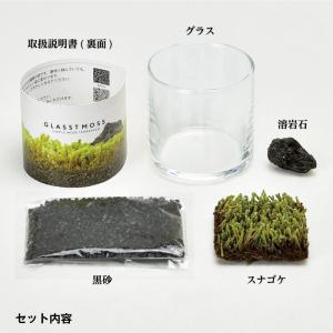 グラストモス L 苔 テラリウム キット 育て...の詳細画像5