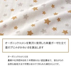ご祝儀袋 オーガニックスタイ金封 3種 ご祝儀...の詳細画像3